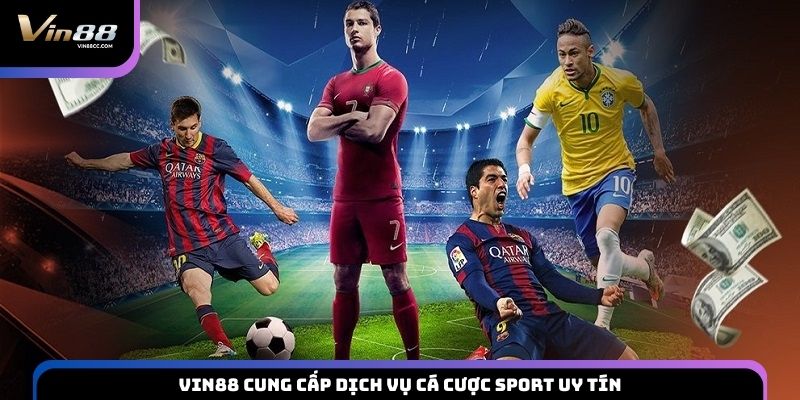 VIN88 cung cấp dịch vụ cá cược Sport uy tín